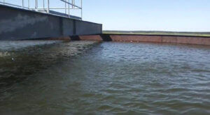 psc-cta-tank-water.jpg