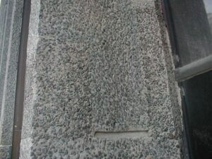 P1010009.JPG