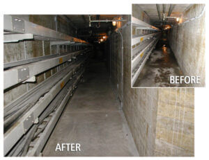 eop before and after