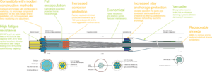 features of stay cables
