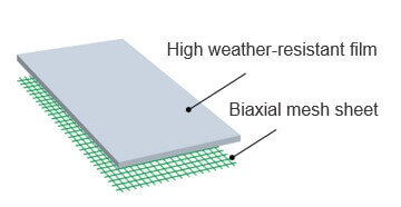 biaxial mesh biaxial mesh